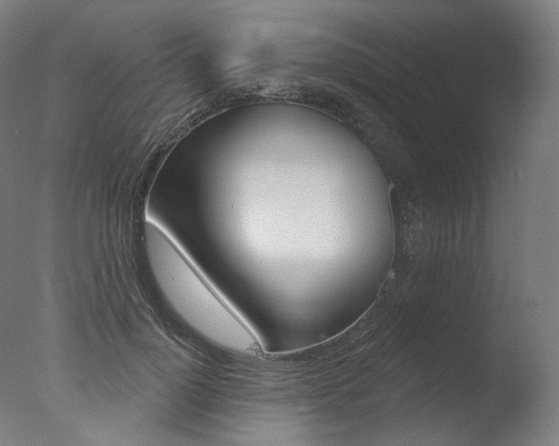 X0000077370748200610201014