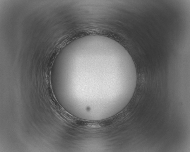X0000077370749200610201014