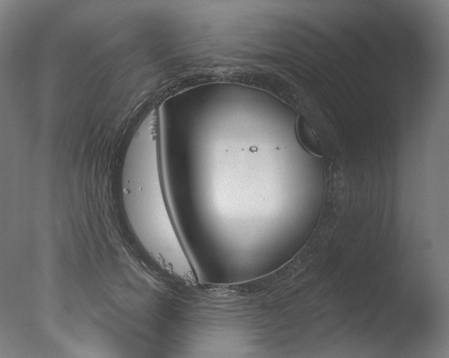 X0000077370750200610201014