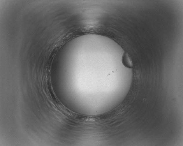 X0000077370751200610201014