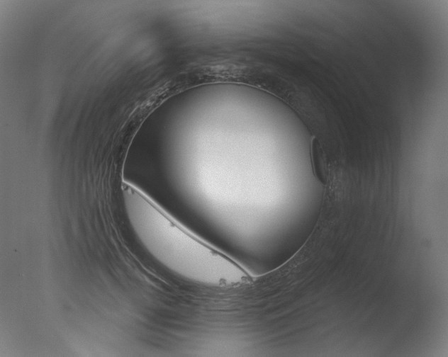 X0000077370752200610201014