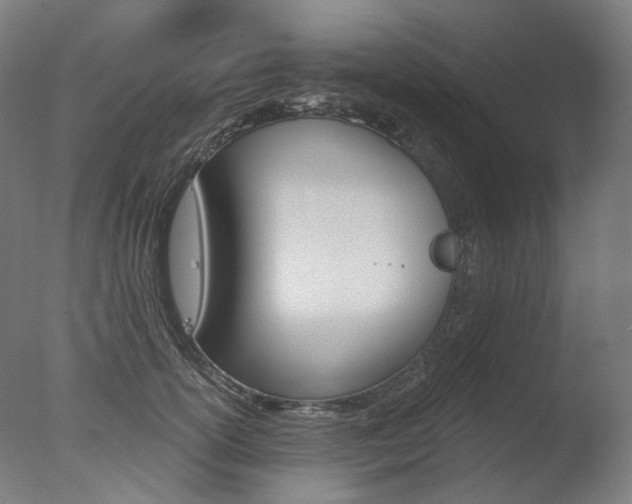 X0000077370754200610201014