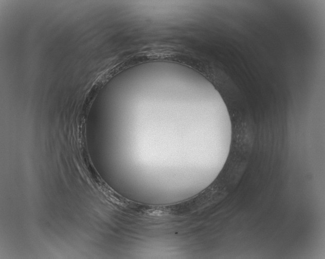X0000077370755200610201014