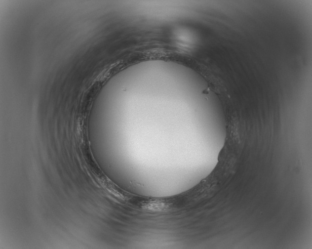 X0000077370759200610201014