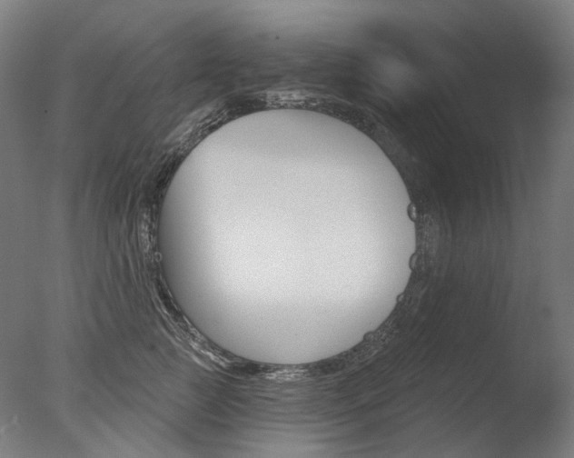 X0000077370761200610201014