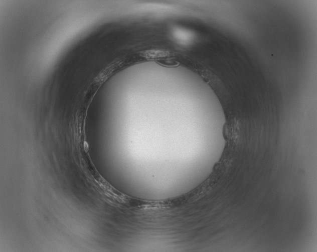 X0000077370763200610201014