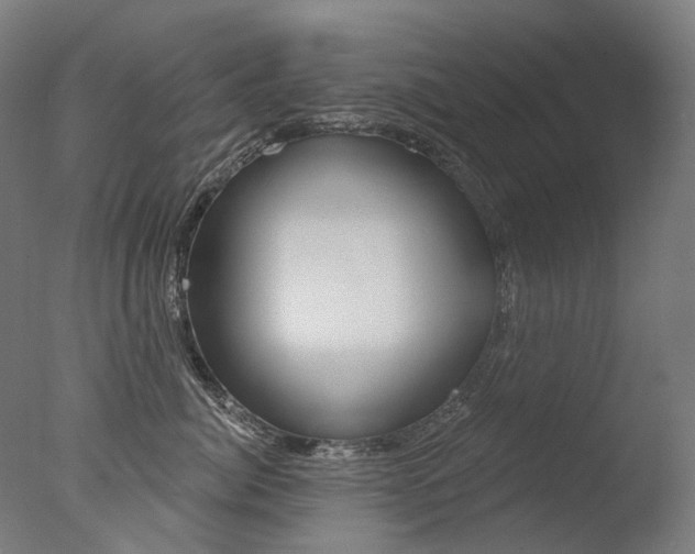 X0000077370764200610201014
