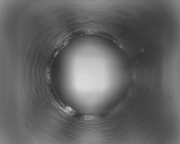 X0000077370766200610201014