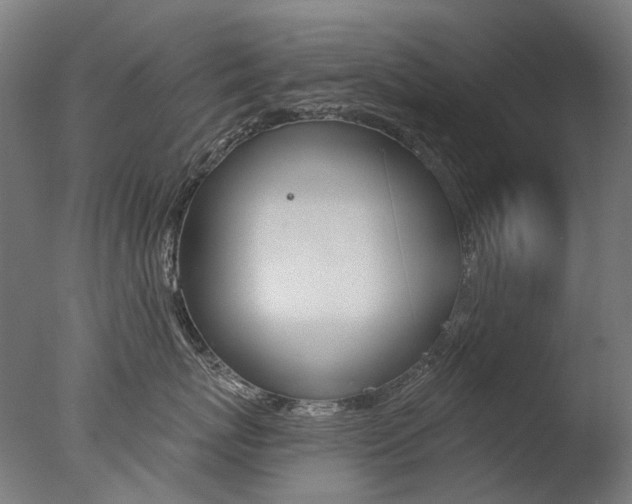 X0000077370767200610201014
