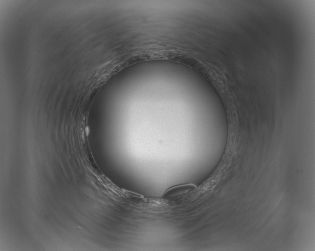 X0000077370768200610201014