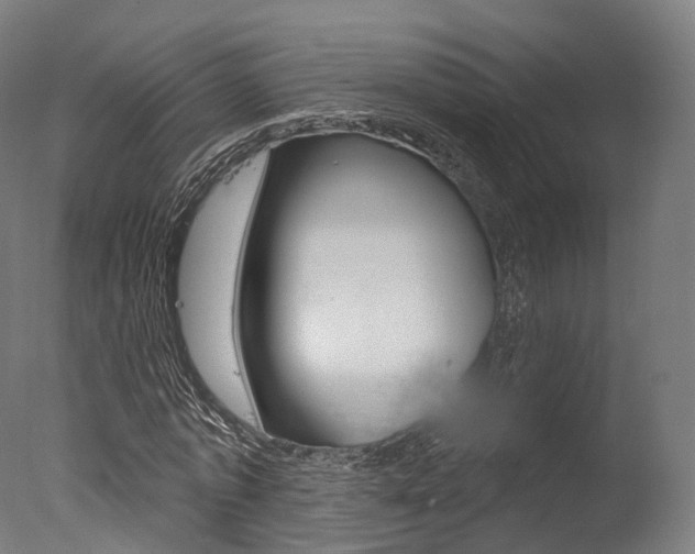 X0000077370773200610201013