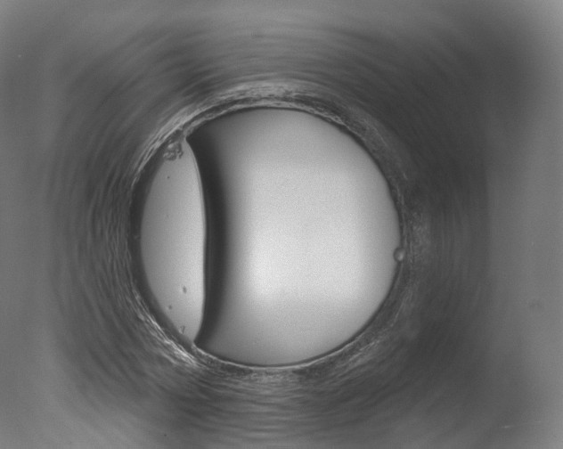 X0000077370778200610201013