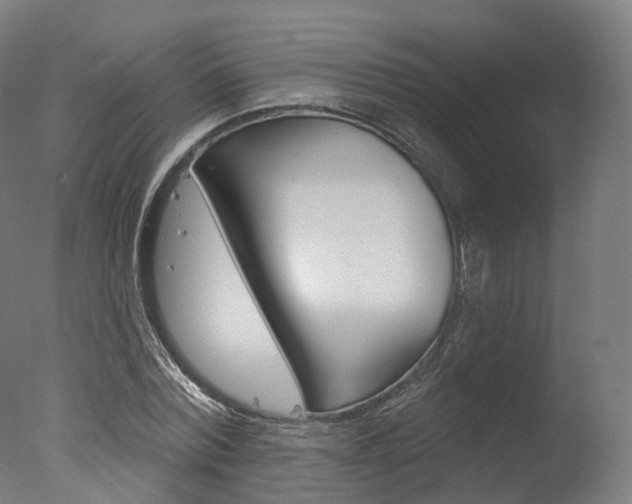 X0000077370780200610201013