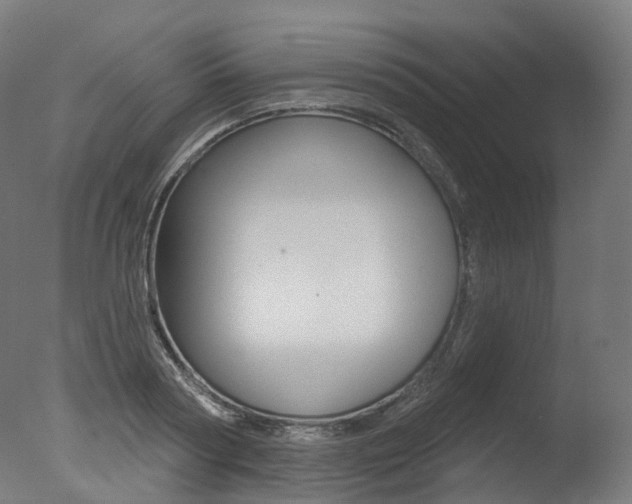 X0000077370794200610201013