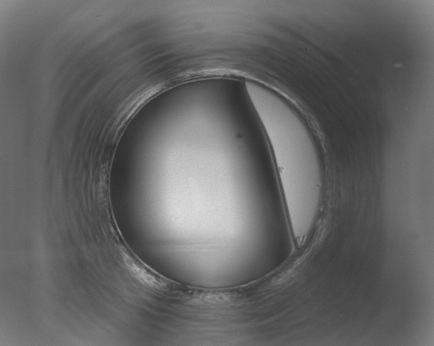X0000077370801200610201013