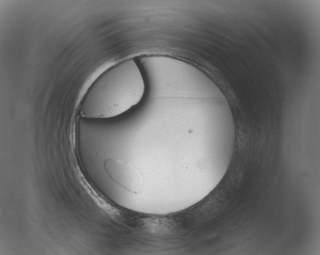 X0000077370804200610201013