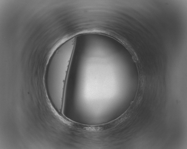 X0000077370805200610201013