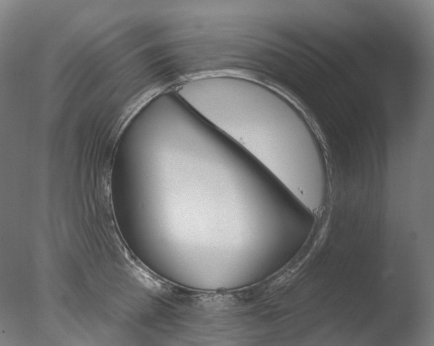 X0000077370809200610201013
