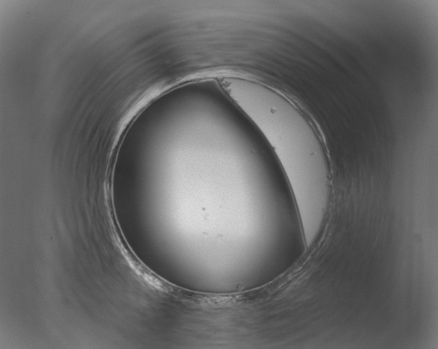 X0000077370813200610201013