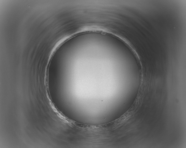 X0000077370815200610201012