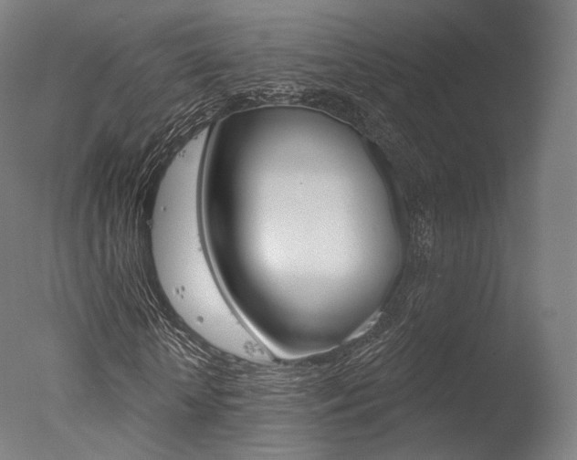 X0000077370818200610201012