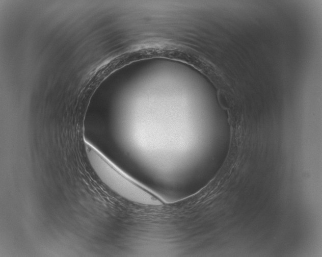 X0000077370822200610201012