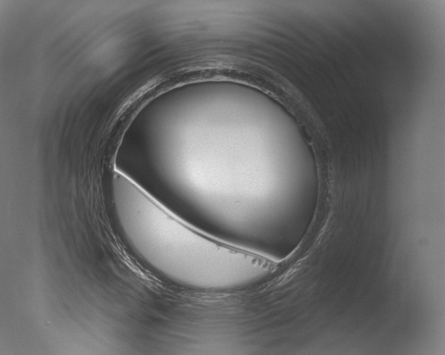 X0000077370826200610201012