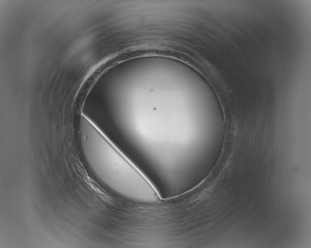 X0000077370830200610201012