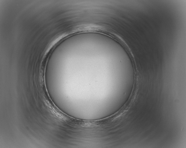 X0000077370835200610201012