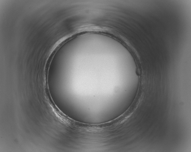 X0000077370837200610201012