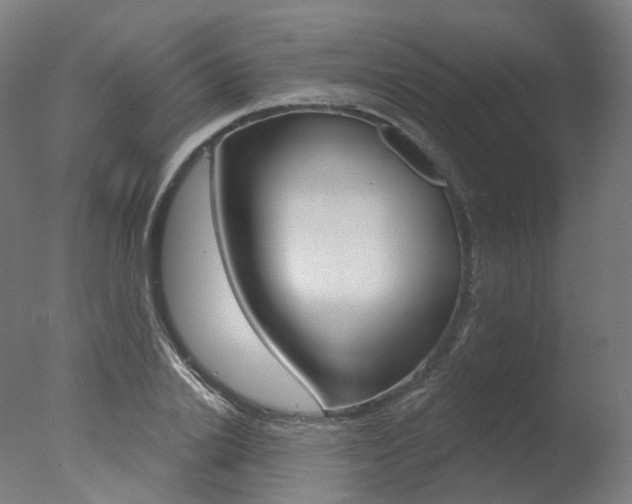 X0000077370838200610201012