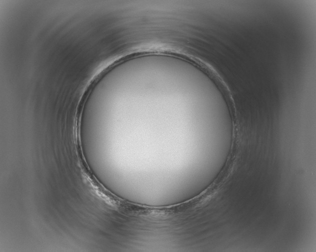 X0000077370839200610201012