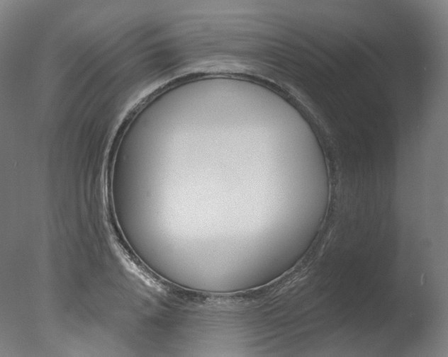 X0000077370840200610201012