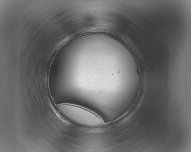 X0000077370841200610201012