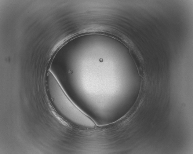 X0000077370842200610201012