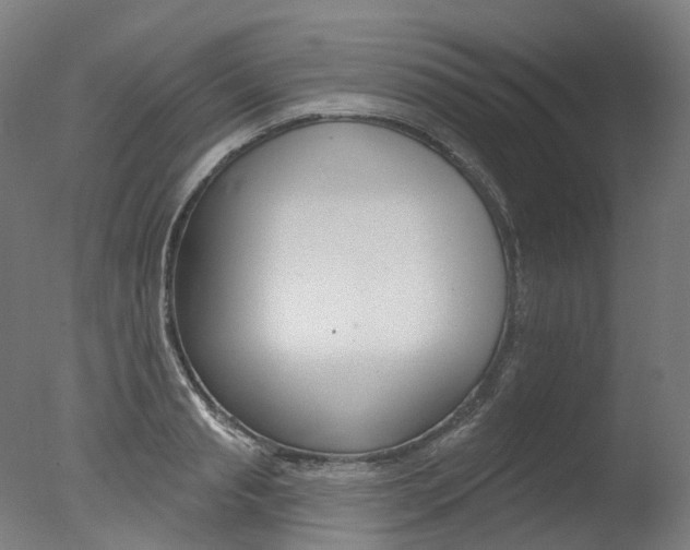 X0000077370845200610201012