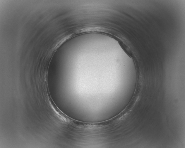 X0000077370849200610201012