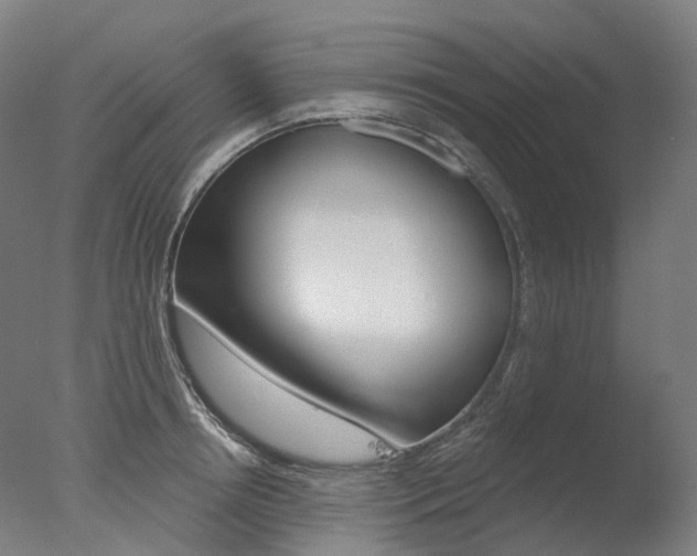 X0000077370850200610201012