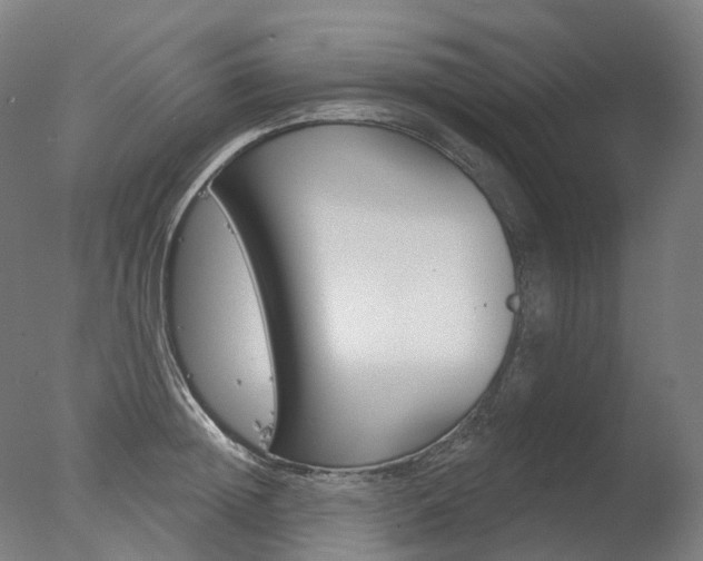 X0000077370852200610201012