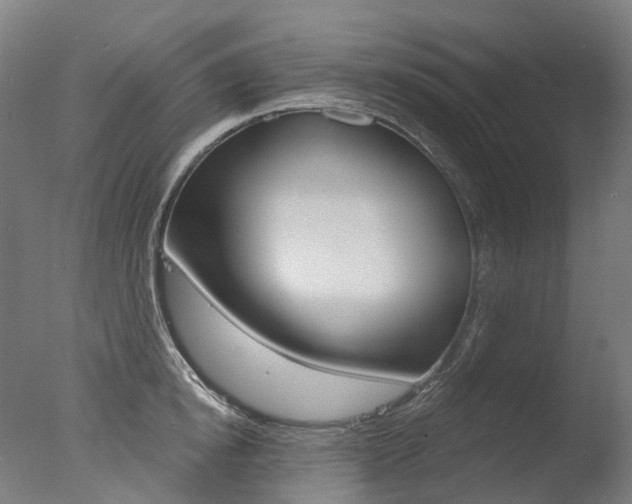 X0000077370854200610201012