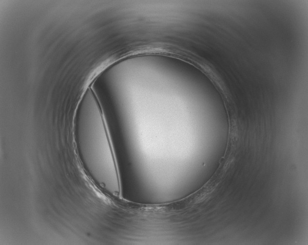 X0000077370858200610201012