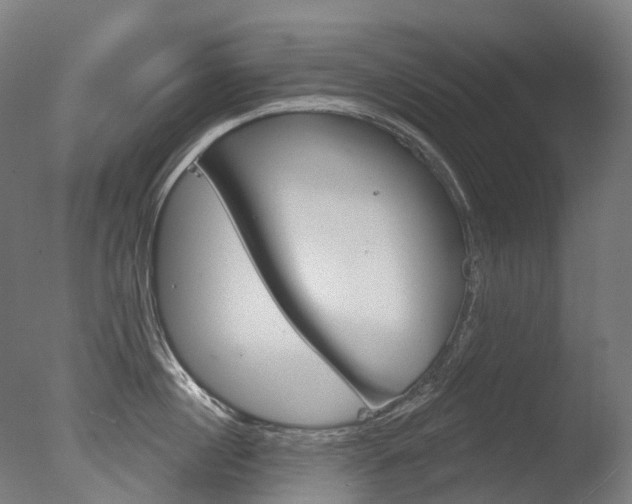 X0000077370860200610201012