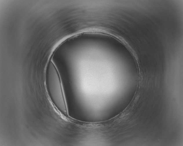 X0000077370862200610201012