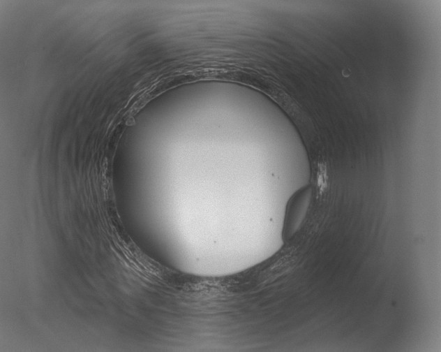X0000077370867200610201012