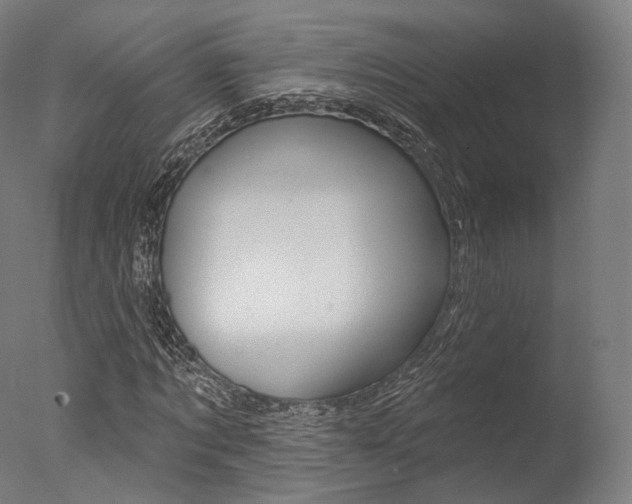 X0000077370869200610201012