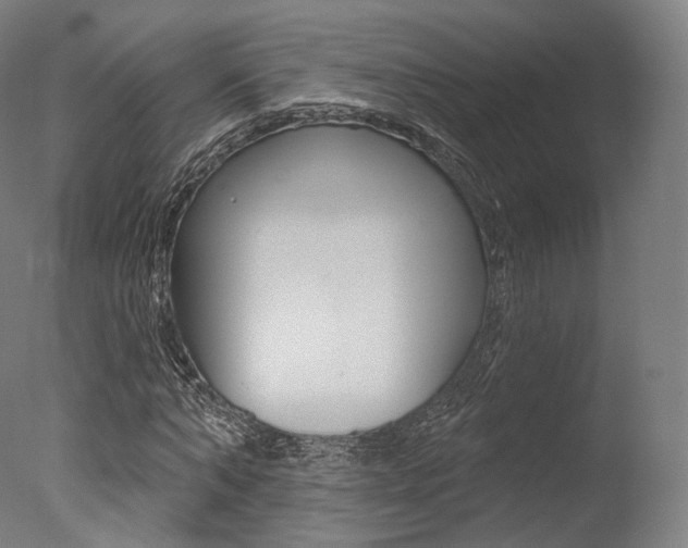 X0000077370870200610201012