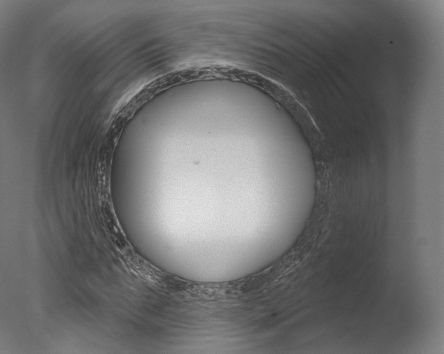 X0000077370871200610201012