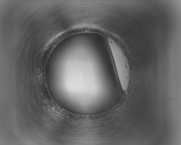 X0000077370872200610201012