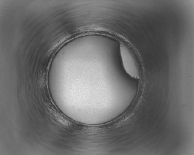 X0000077370873200610201011
