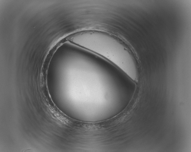 X0000077370876200610201011